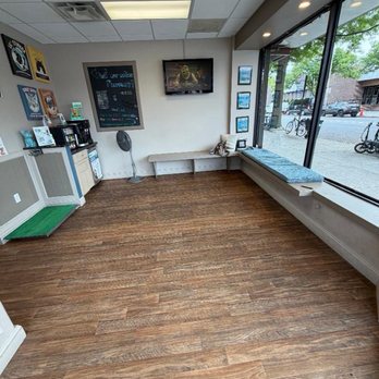 Bensonhurst Veterinary Care - Empty office but threaten to cancel my appointment when I communicated I am parking. - Veterinarians Near Me - Brooklyn, New York