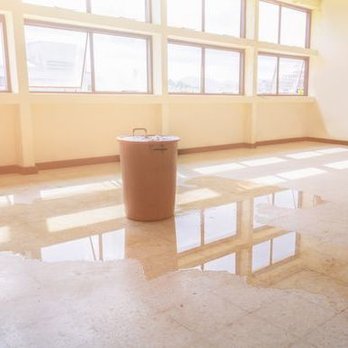 Absorb & Restore - Damage Restoration Near Me Absorb & Restore - Damage Restoration Near Me