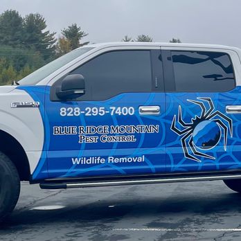 Blue Ridge Mountain Pest Control - Pest Control Near Me - Boone, North Carolina Blue Ridge Mountain Pest Control - Pest Control Near Me - Boone, North Carolina