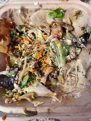 Falafel King by null