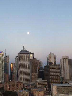 The Wheel of Brisbane by null