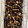 Photo of Cathy's Lobster Bake