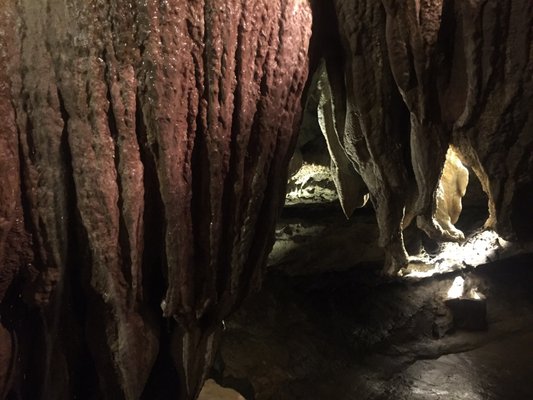 National Showcaves Centre for Wales by null