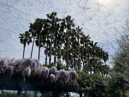 Mexican Heritage Plaza by null