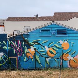 Carlsbad Village