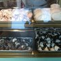 Photo of La Scala Ice