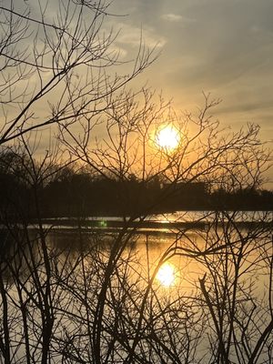 Delaware Park by null