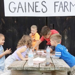 Gaines Farm & Kennel - French fries after a busy and fun day!