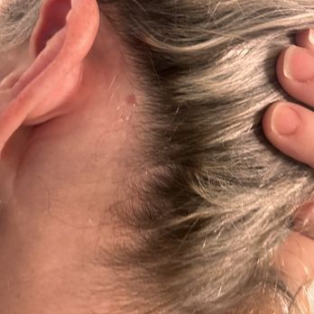 Evolve Salon - Black rooty hairline - Hair Salons Near Me - Los Gatos, California