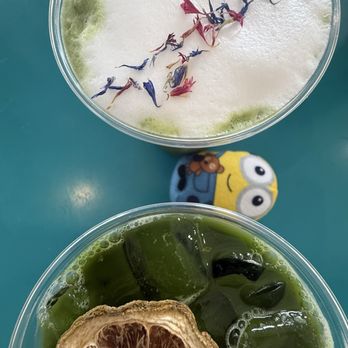 Cafe Lapin - Salted Vanilla Cold Foam Matcha - Coffee & Tea Near Me - Honolulu, Hawaii