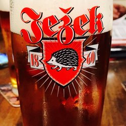 Pivovarská restaurace - Vyborné tankové pivo Ježek 11