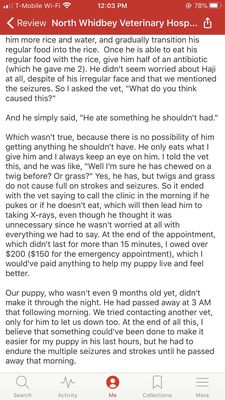 Mangiameli John J DVM