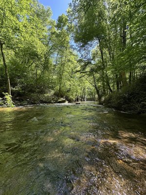 Looking Glass Falls by null