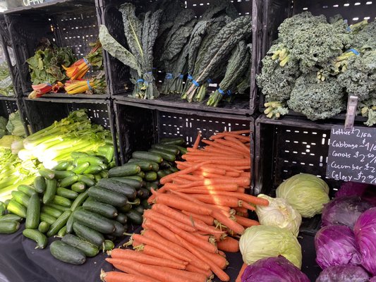 Campbell Farmer's Market by null