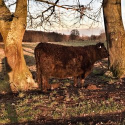 Stellmoor-Ahrensburger Tunneltal