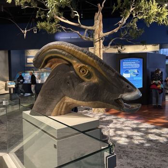 Field Museum - Museums Near Me - Chicago, Illinois