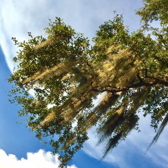 Heritage Park - Enjoying the beauty of nature - Parks Near Me - Slidell, Louisiana