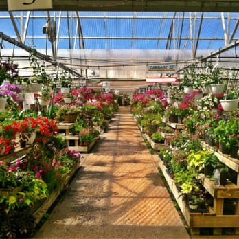 Cox's Plant Farm - Nurseries & Gardening Near Me - Clayton, Indiana Cox's Plant Farm - Nurseries & Gardening Near Me - Clayton, Indiana