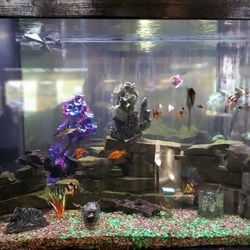 Low And Slow Smokehouse - Aquarium