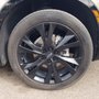 Ed Whitehead's Tire Pros