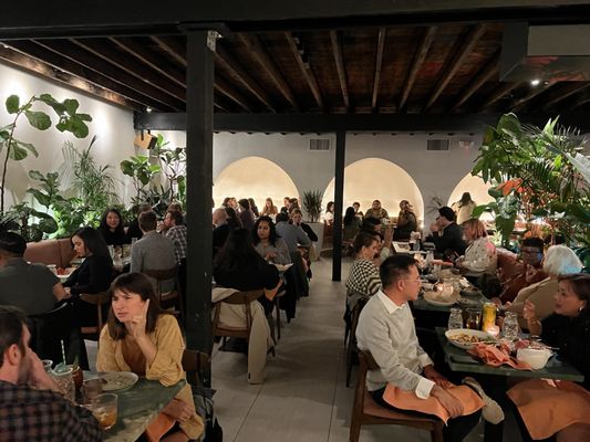 Aaktun Coffee, Restaurant and Bar by null