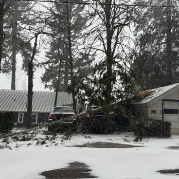 M&R Tree services - Wreckage from the wind! - Tree Services Near Me - Vancouver, Washington M&R Tree services - Wreckage from the wind! - Tree Services Near Me - Vancouver, Washington