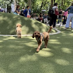 Madison Square Park Conservancy