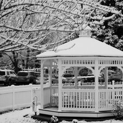 Naval Academy Primary School - Our Beautiful Front Garden After a Snowfall