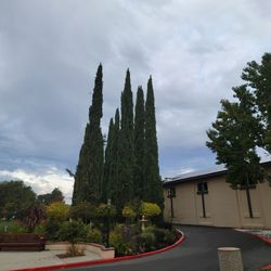 Christ the King Church