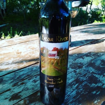 bear river vineyards - Baco noir, forbidden in Europe - Wineries Near Me - Bear River, Nova Scotia
