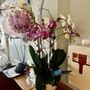 Photo of Bay Bouquet Floral Studio