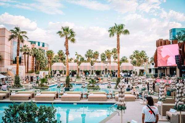 Palm Tree Beach Club by null