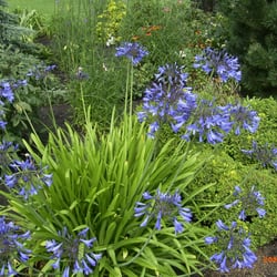 Botanischer Garten
