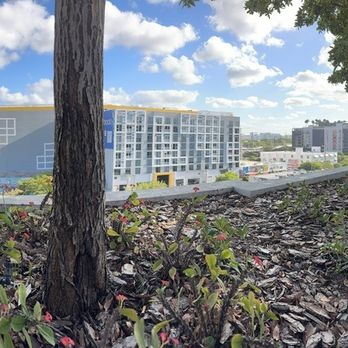 Sentral Wynwood - Hotels Near Me - Miami, Florida Sentral Wynwood - Hotels Near Me - Miami, Florida
