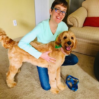 Go Mobile grooming - Pet Groomers Near Me