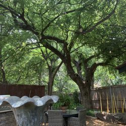 Gus'sTree Service and Landscape