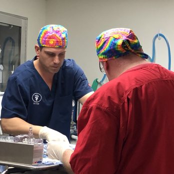 Robertson County Animal Clinic - Dr. Raines and Dr. Mixon hard at work. - Veterinarians Near Me - Springfield, Tennessee Robertson County Animal Clinic - Dr. Raines and Dr. Mixon hard at work. - Veterinarians Near Me - Springfield, Tennessee