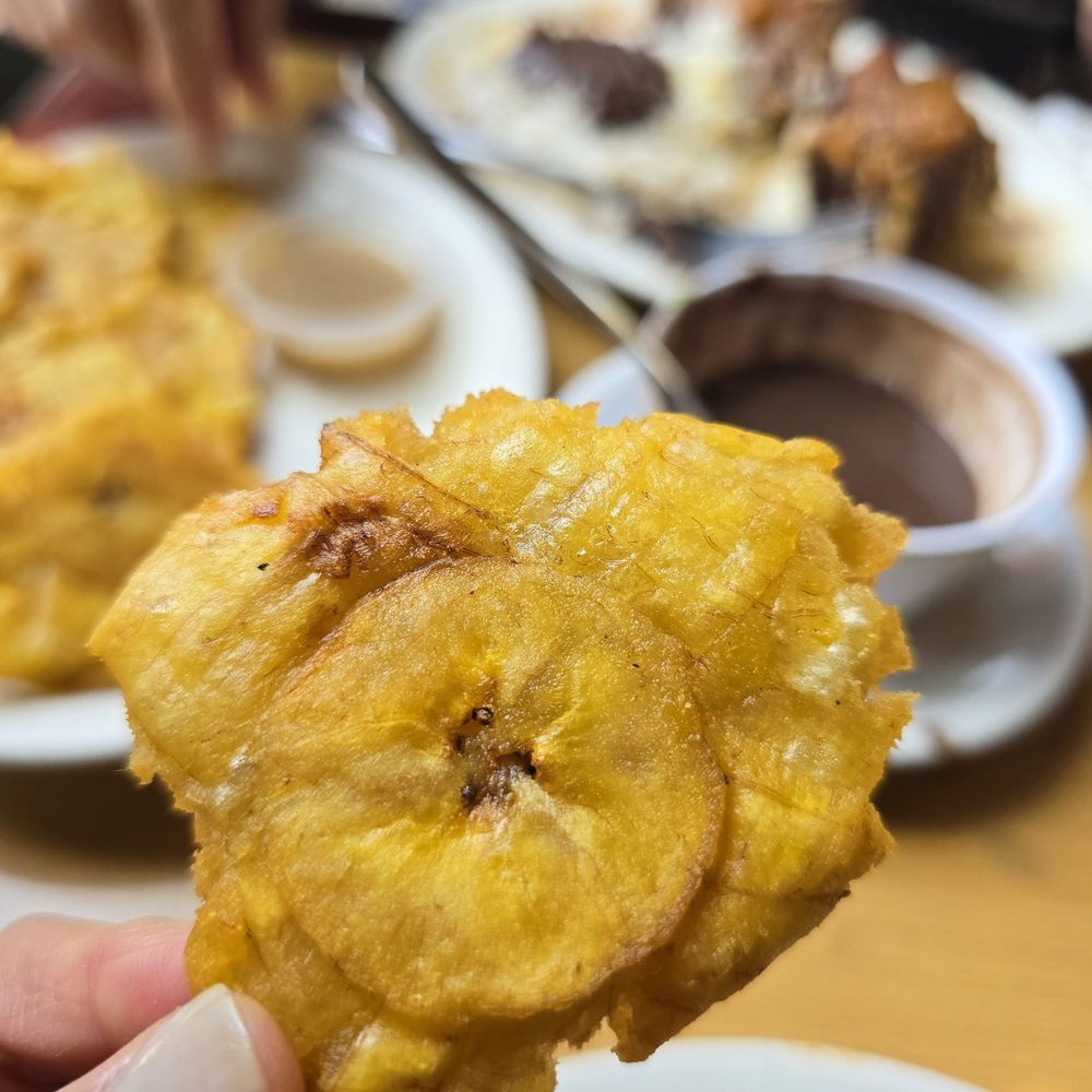 La Bella Cucina photo 4