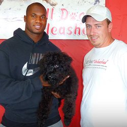 All Dogs Unleashed - Terrence Newman Minnesota Vikings