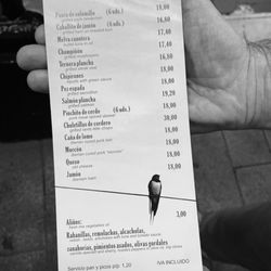 Las Golondrinas - Menu 2024