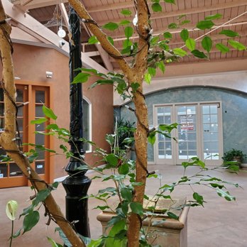 Moonside Bakery & Cafe - Lovely indoor area to eat the amazing baked goods!!! - Bakeries Near Me - Half Moon Bay, California Moonside Bakery & Cafe - Lovely indoor area to eat the amazing baked goods!!! - Bakeries Near Me - Half Moon Bay, California