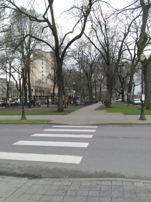 North Park Blocks by null