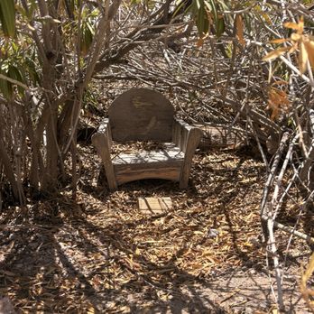 St. Jude's Ranch Thrift Store - Near the cross, random chair under a bush - Thrift Stores Near Me - Boulder City, Nevada St. Jude's Ranch Thrift Store - Near the cross, random chair under a bush - Thrift Stores Near Me - Boulder City, Nevada