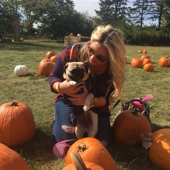 Abbey Farms - Pumpkin Patches Near Me - Aurora, Illinois Abbey Farms - Pumpkin Patches Near Me - Aurora, Illinois