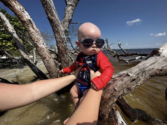 Lighthouse Beach Park by null