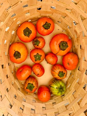 Matthews Community Farmers' Market by null
