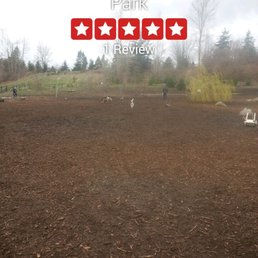 The large dogs park. 100% fenced. Saffy always has a good time.
