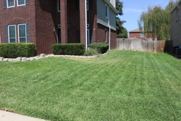 Regularly Scheduled Lawn Maintenance - These are just a handful of our "showcase" yards, and are the typical results of fertilization/ weed control, weekly mowing, and regularly maintained hedges.
If you interested in these types of results, please feel free to ask about our "Total Care" plan.
Even though the "Total Care" plan is recommended, we can work with all type of budgets to come up with the right plan that fits you, and your yards needs.
Call or message today so we can discuss your options and provide you with a free, no obligation quote. Regularly Scheduled Lawn Maintenance - These are just a handful of our "showcase" yards, and are the typical results of fertilization/ weed control, weekly mowing, and regularly maintained hedges.
If you interested in these types of results, please feel free to ask about our "Total Care" plan.
Even though the "Total Care" plan is recommended, we can work with all type of budgets to come up with the right plan that fits you, and your yards needs.
Call or message today so we can discuss your options and provide you with a free, no obligation quote.