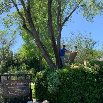 Wilson Landscape - Great job! - Landscaping Near Me Wilson Landscape - Great job! - Landscaping Near Me
