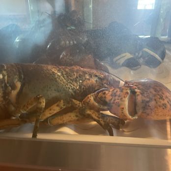 Red Lobster - Seafood Near Me - Albuquerque, New Mexico